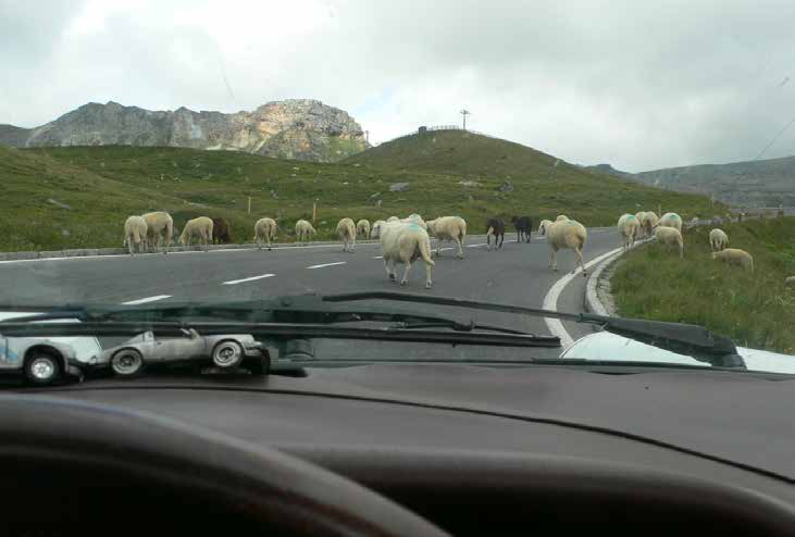 GrossGlockner 6