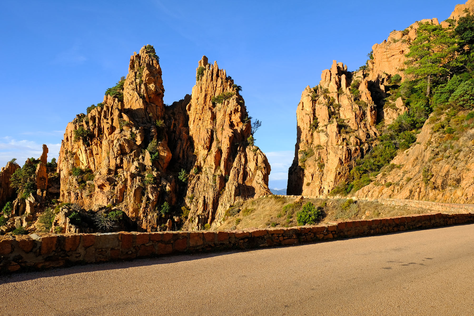 Piana